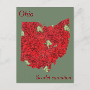 Ohio State Flower Collage Map Postcard