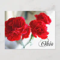 Ohio Red Carnations State Flower  Ohio State Gifts Pin for Sale