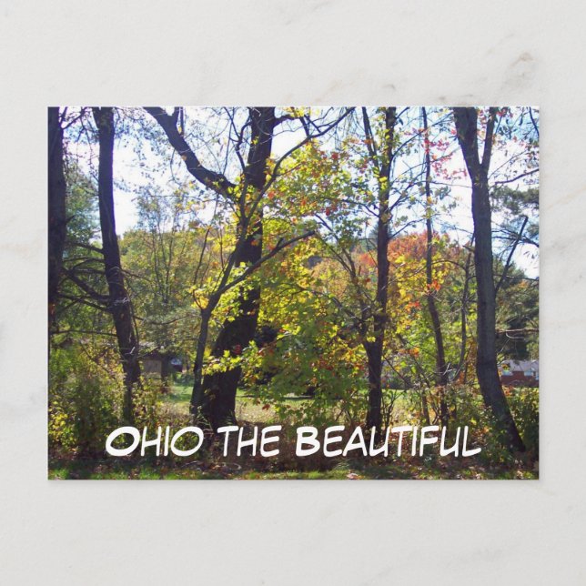 Ohio the Beautiful, 25 Postcard (Front)