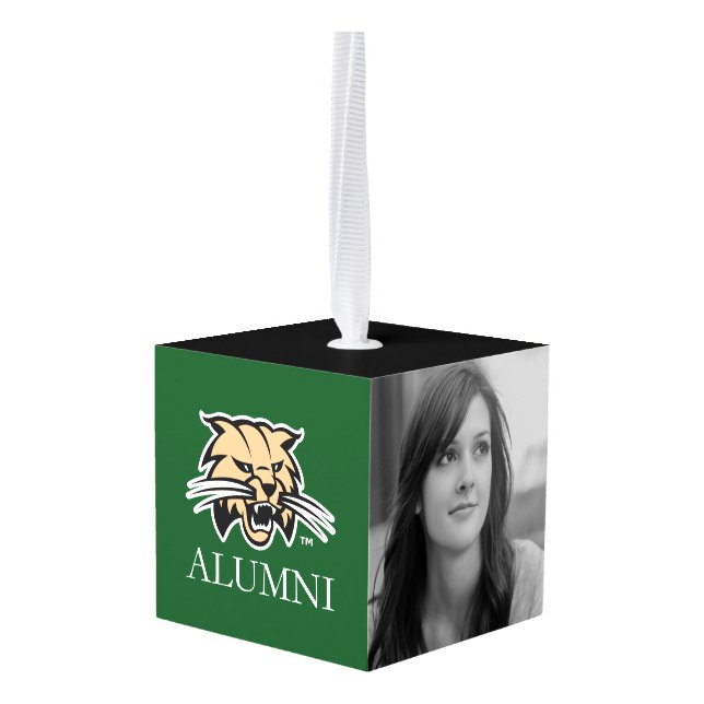 Ohio University Alumni Cube Ornament (Back Angled)