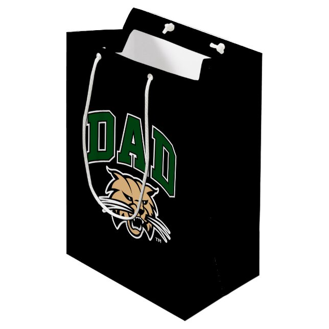 Ohio University Dad Medium Gift Bag (Front Angled)