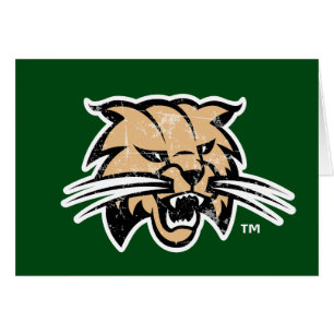 Ohio University Distressed