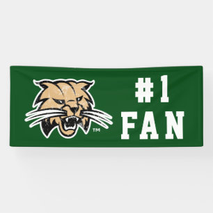 Ohio University Distressed Banner