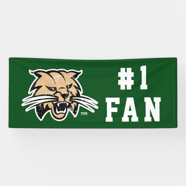 Ohio University Distressed Banner (Horizontal)