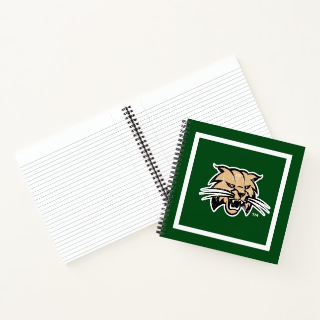 Ohio University Distressed Notebook (Inside)