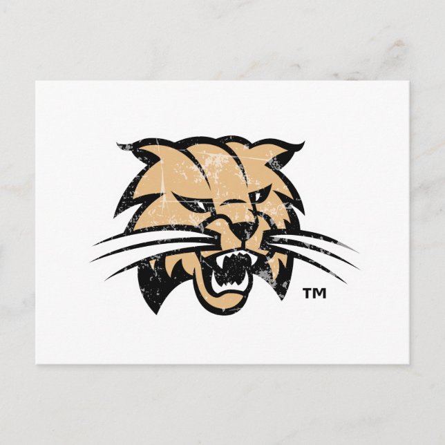 Ohio University Distressed Postcard (Front)