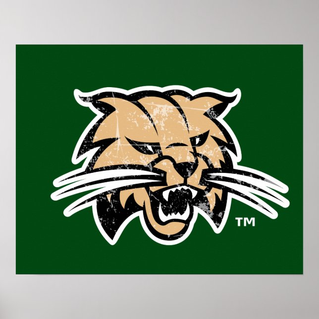 Ohio University Distressed Poster (Front)