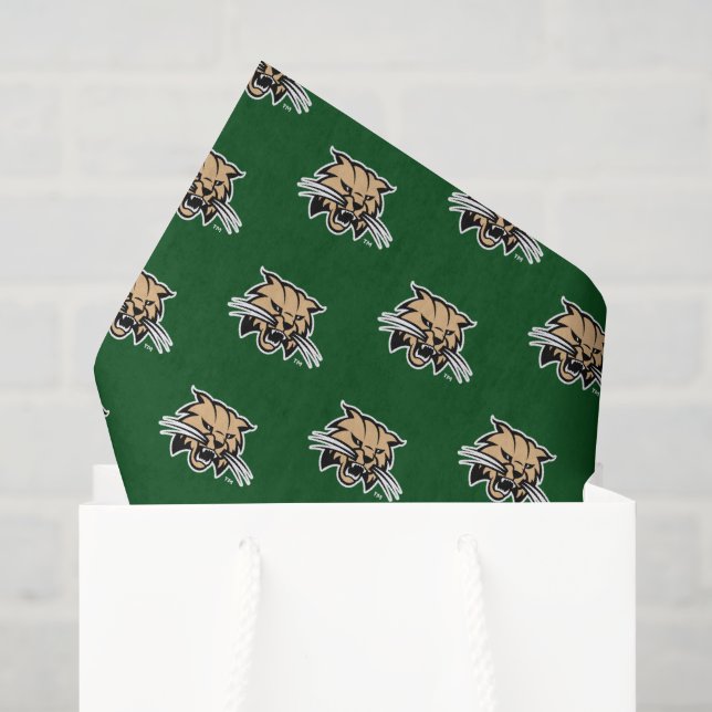 Ohio University Graduation Tissue Paper (Gift Bag)