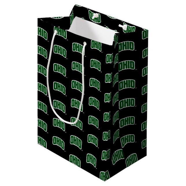 Ohio Wordmark Medium Gift Bag (Front Angled)