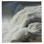 Ohiopyle Falls in Pennsylvania Cloth Napkin