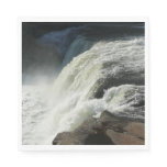 Ohiopyle Falls in Pennsylvania Paper Napkins
