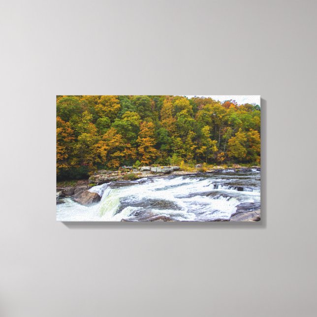 Ohiopyle Falls, Pennsylvania Canvas Print (Front)