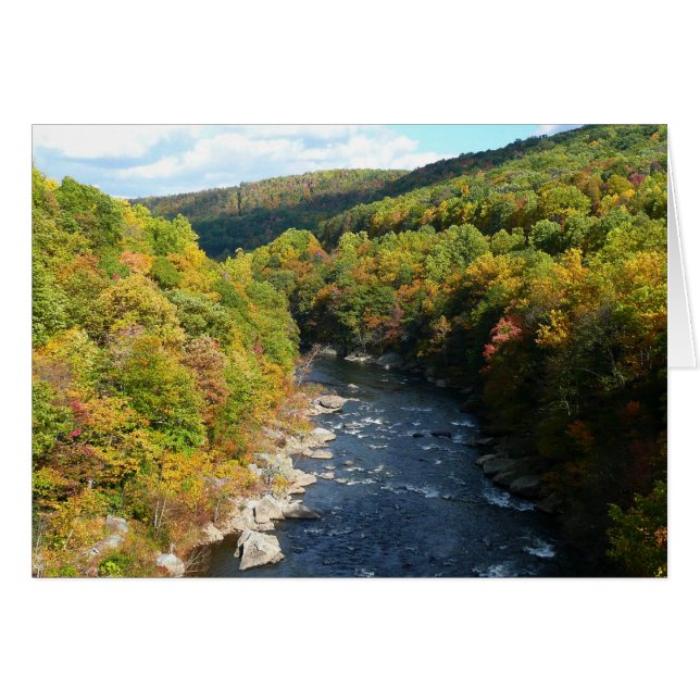 Ohiopyle River in Fall I Pennsylvania Autumn Cards (Front Horizontal)