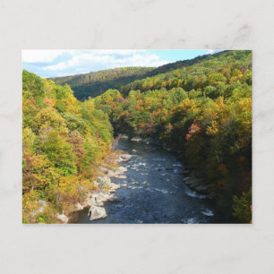 Ohiopyle River in Fall I Pennsylvania Autumn Postcard