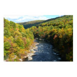 Ohiopyle River in Fall I Pennsylvania Autumn Poster