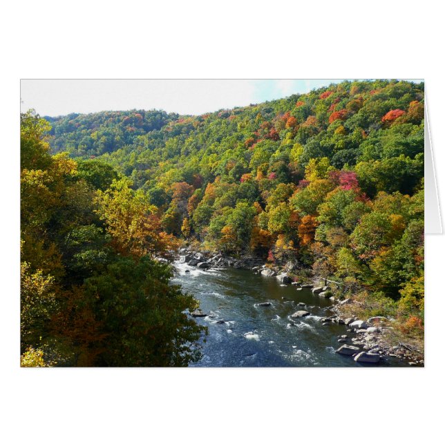 Ohiopyle River in Fall II Pennsylvania Autumn Cards (Front Horizontal)