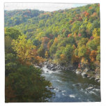 Ohiopyle River in Fall II Pennsylvania Autumn Cloth Napkin