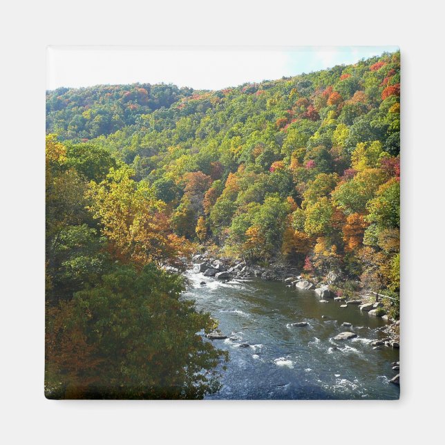 Ohiopyle River in Fall II Pennsylvania Autumn Magnet (Front)