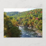 Ohiopyle River in Fall II Pennsylvania Autumn Postcard