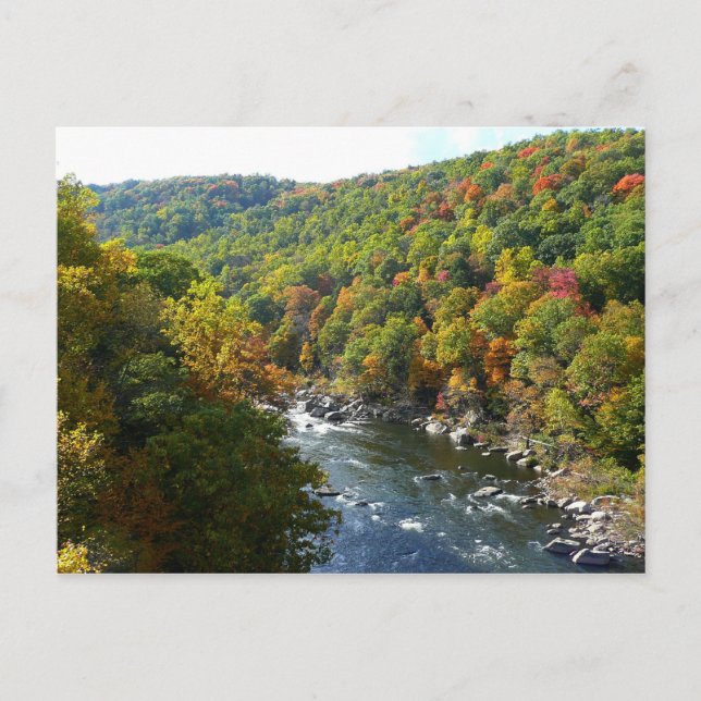 Ohiopyle River in Fall II Pennsylvania Autumn Postcard (Front)