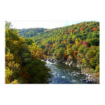 Ohiopyle River in Fall II Pennsylvania Autumn Poster