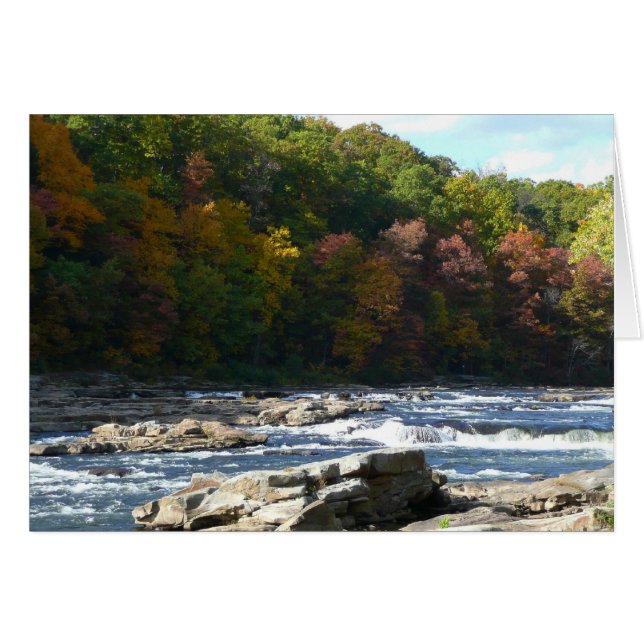 Ohiopyle River Rapids in Fall Pennsylvania Autumn Cards (Front Horizontal)