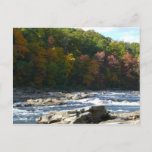 Ohiopyle River Rapids in Fall Pennsylvania Autumn Postcard