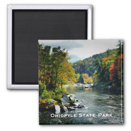 Ohiopyle State Park Magnet