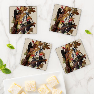 ohn James Audubon Pileated Woodpecker Bird Print Coaster Set