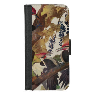 ohn James Audubon Pileated Woodpecker Bird Print iPhone 8/7 Wallet Case