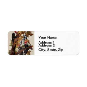 ohn James Audubon Pileated Woodpecker Bird Print Label