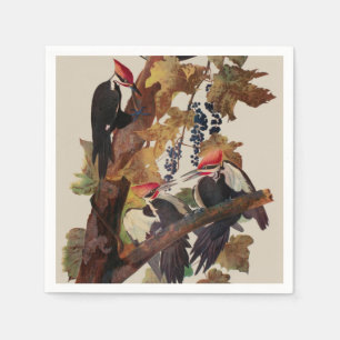 ohn James Audubon Pileated Woodpecker Bird Print Napkins