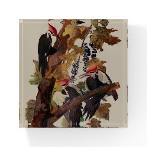 ohn James Audubon Pileated Woodpecker Bird Print Paperweight