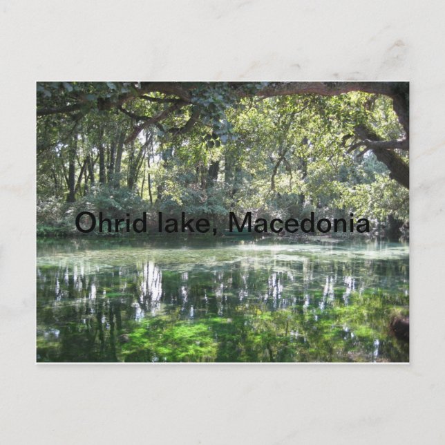 Ohrid Lake, Macedonia Postcard (Front)