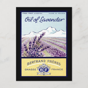 Oil of Lavender - Grasse France Postcard