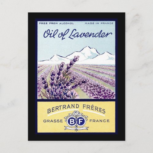 Oil of Lavender _ Grasse France Postcard