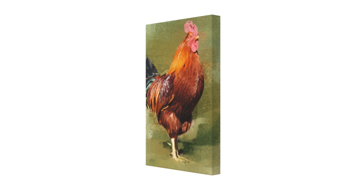Oil Painted Chicken Wrapped Canvas | Zazzle