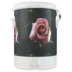 Oil painted red rose beverage cooler