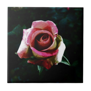 Oil painted red rose ceramic tile