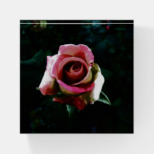 Oil painted red rose paperweight