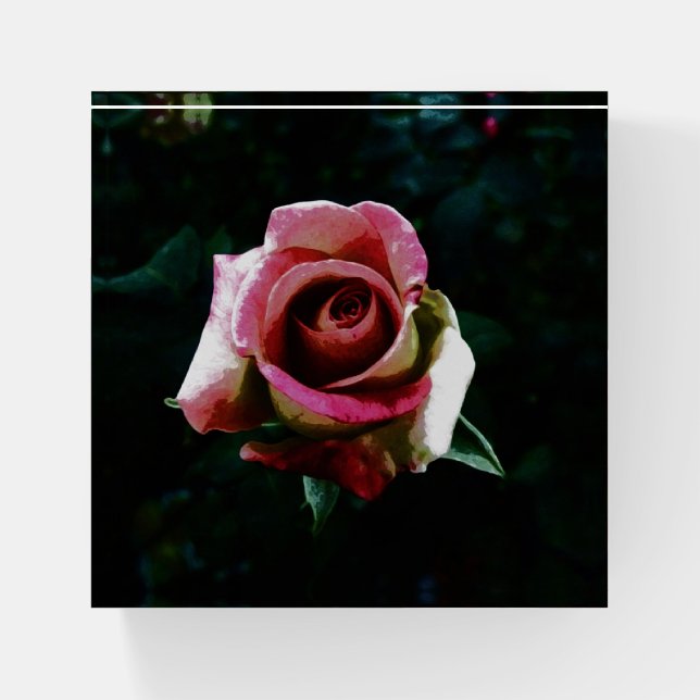 Oil painted red rose paperweight (Front)