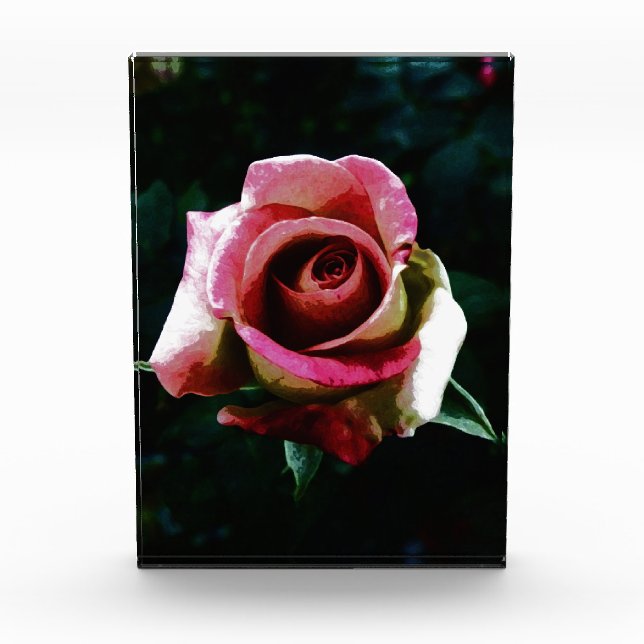 Oil painted red rose photo block (Front)