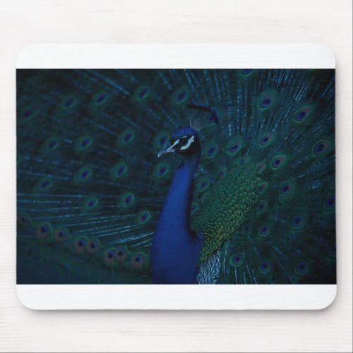 Oil painting blue_purple peacock mouse pad