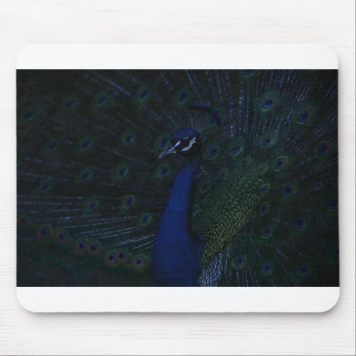 Oil painting Majestic Peacock Mouse Pad
