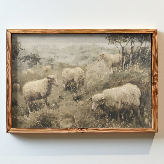 oil painting of  group of sheep grazing in a field poster (Creator Uploaded)