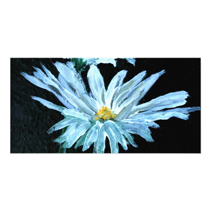 oil painting of white daisy flowers modern art photo greeting card