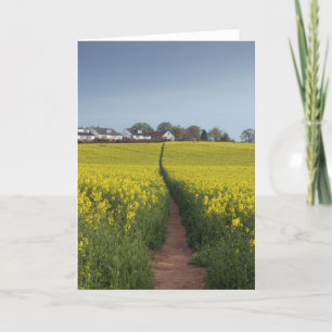 Oil Seed Path Card