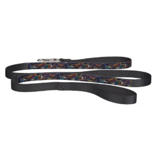 Oil Slick Pet Leash