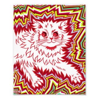 Oingo Boingo psychedelic cat print