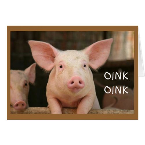 OINK OINKHAPPY BIRTHDAY IN PIG LANGUAGE